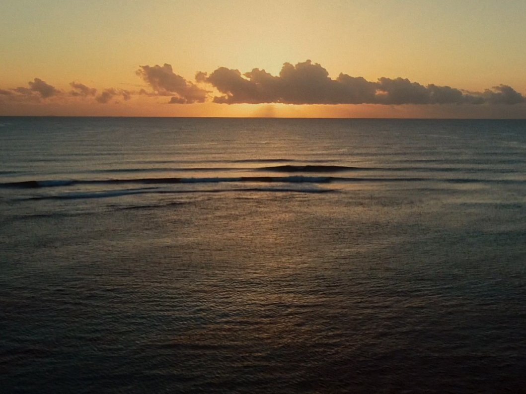 Fo the ocean Fo the ocean