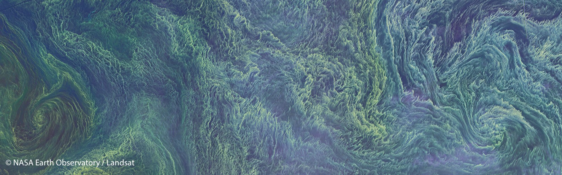 Central Baltic Sea Algae Bloom Central Baltic Sea Algae Bloom