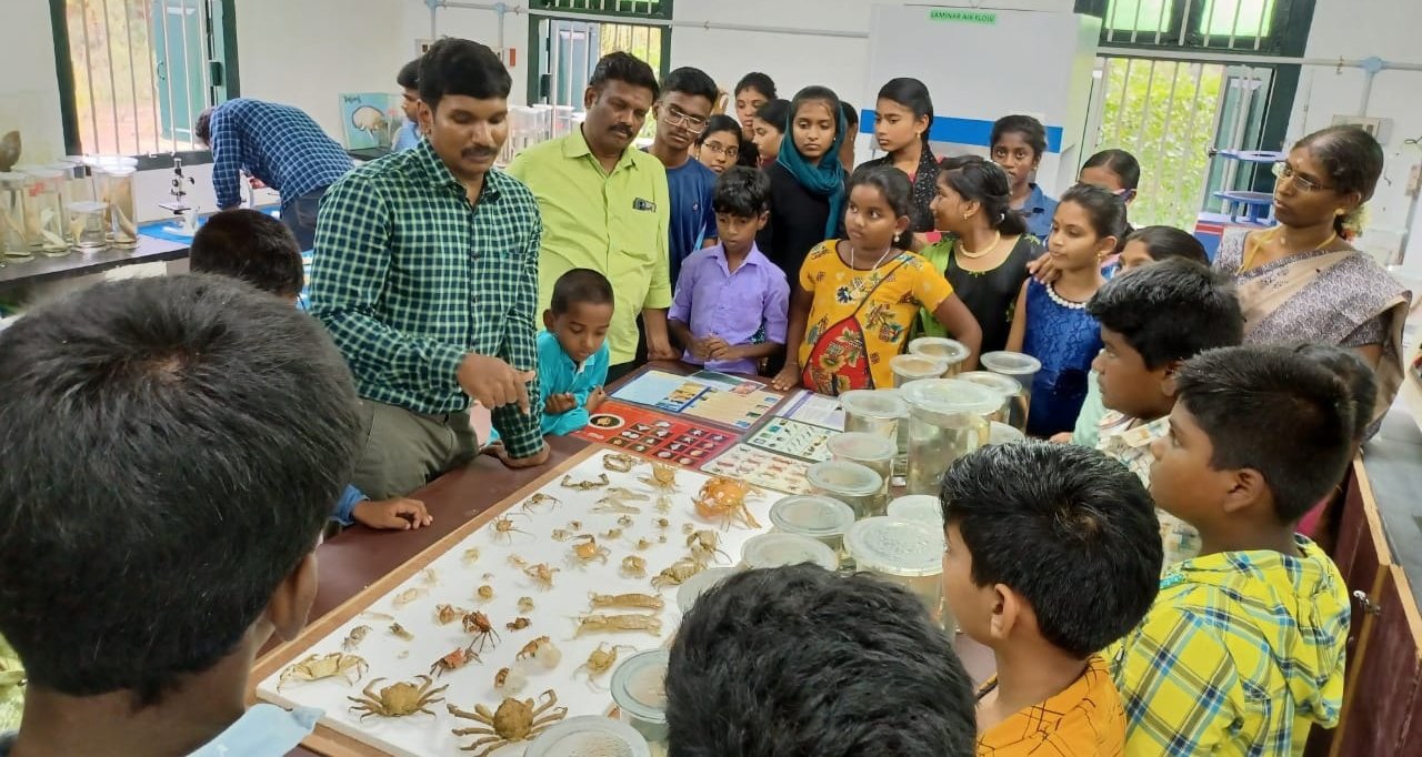 Das Meeresmuseum im Palk Bay Centre Das Meeresmuseum im Palk Bay Centre