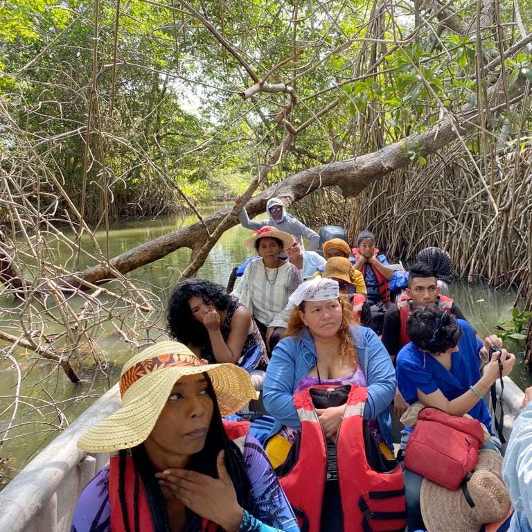 Ecuador: Collectors and Fisherwomen - Rhizomes of Life