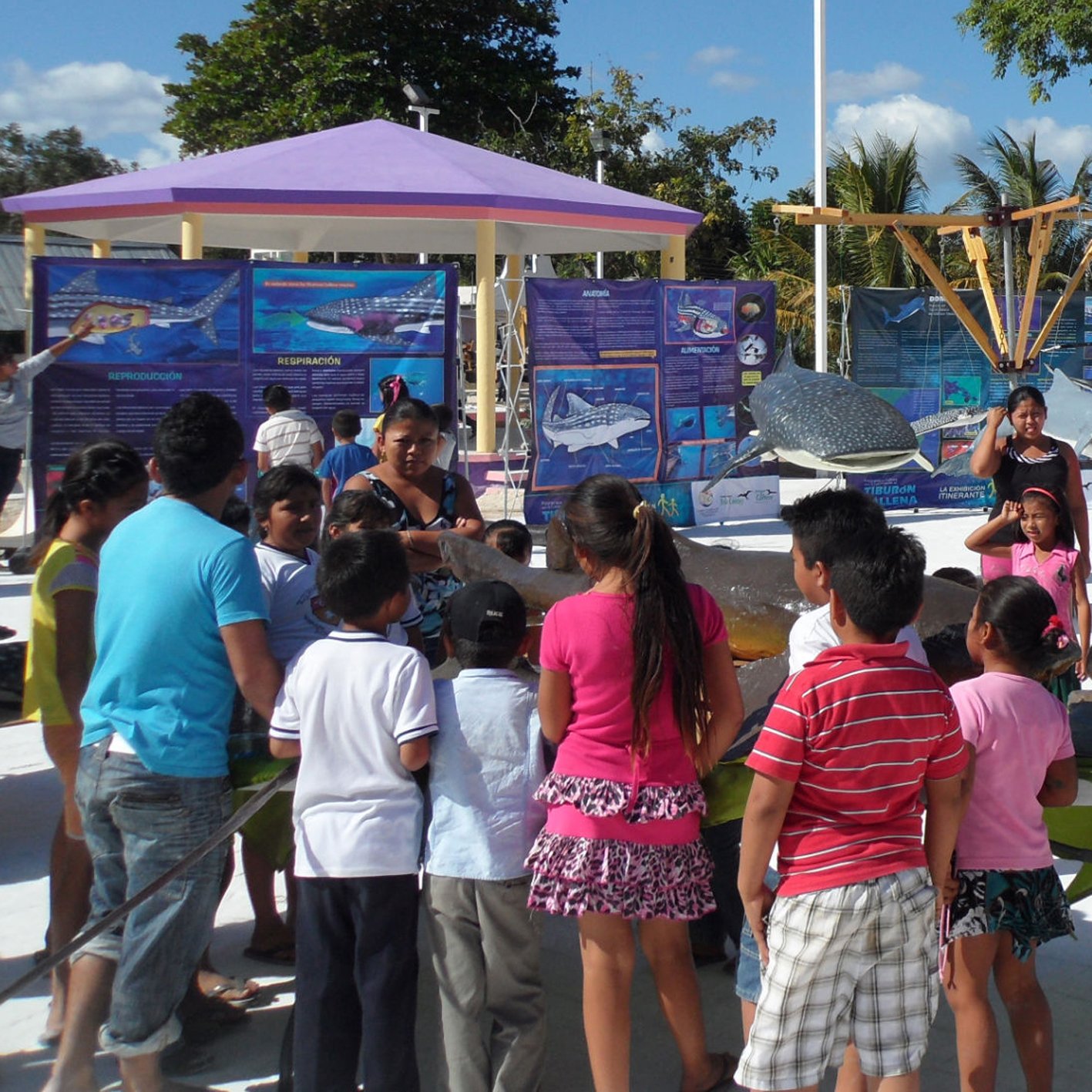 Mexico: Sustainable Caribbean